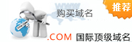 国际域名
